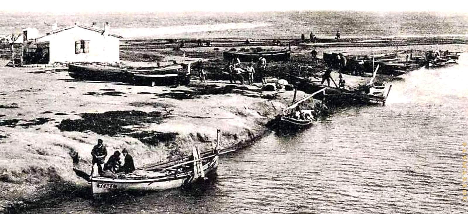 2291- Tenes - Retour de Peche2.jpg